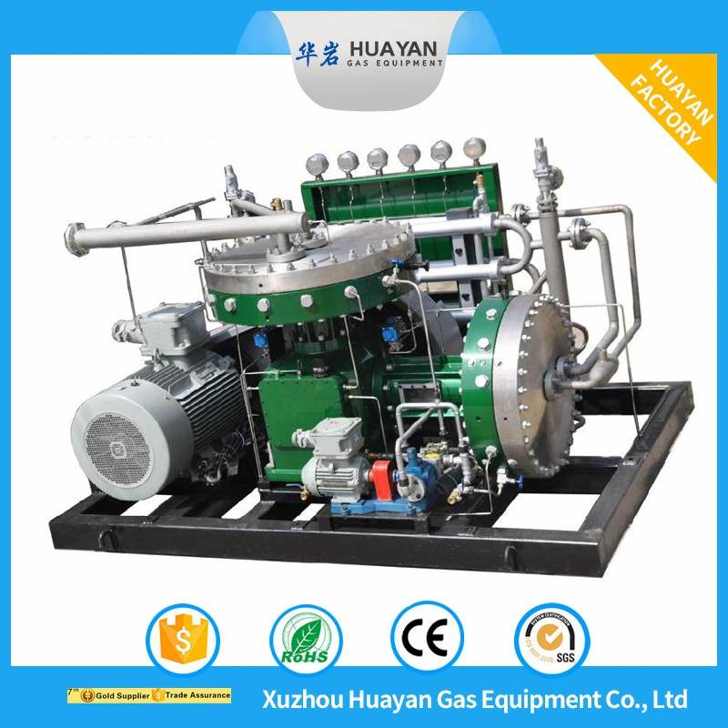 Gl-20/12-160 Oil-Free High Pressure Nature Gas Diaphragm Compressor Factory Supplier