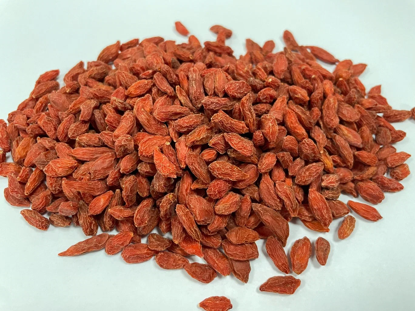 Hot Sale chinês tradicional seco Herb Goji Berry Wolf Berry