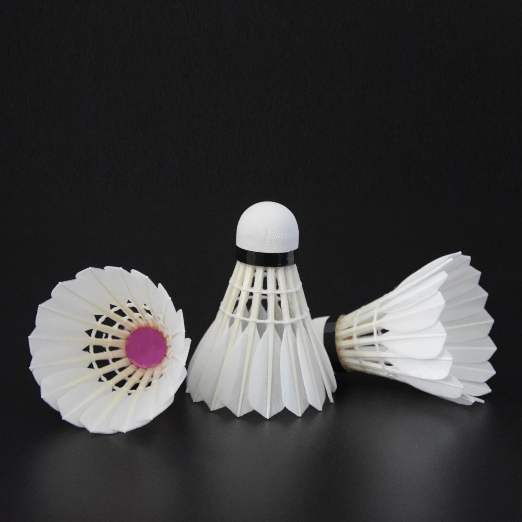 OEM Asian Feather Ball Basic Shuttle Cock Sport Best Weighted Shuttlecock Badminton Birdie