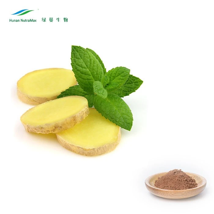 Free Sample Natural Ginger Extract Powder 5%-20% Gingerols Powder From Organic Ginger Extract