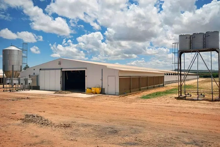 Light Best Material Steel Structure Chicken House and Equipment