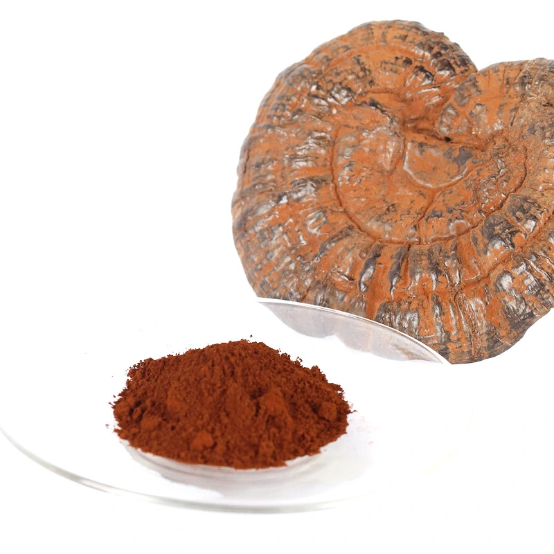 Extracto de Ganoderma lucidum hongos Lingzhi extracto en polvo