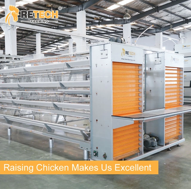 4 Tiers Layer Chicken Poultry Battery Cages for Nigerian Farm