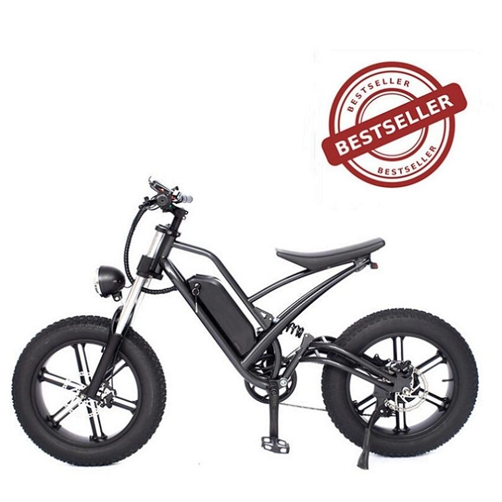 48V 500W 750W Power Chine bon marché suspension complète Retro Vintage E Vélo moto moto moto moto moto moto moto électrique de la saleté Mountain Fat tire