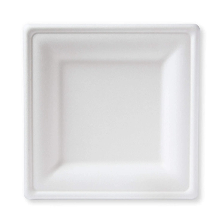 Biodegradable Packaging Disposable Plates Sugarcane Bagasse Dishes Plates Dinnerware Sets