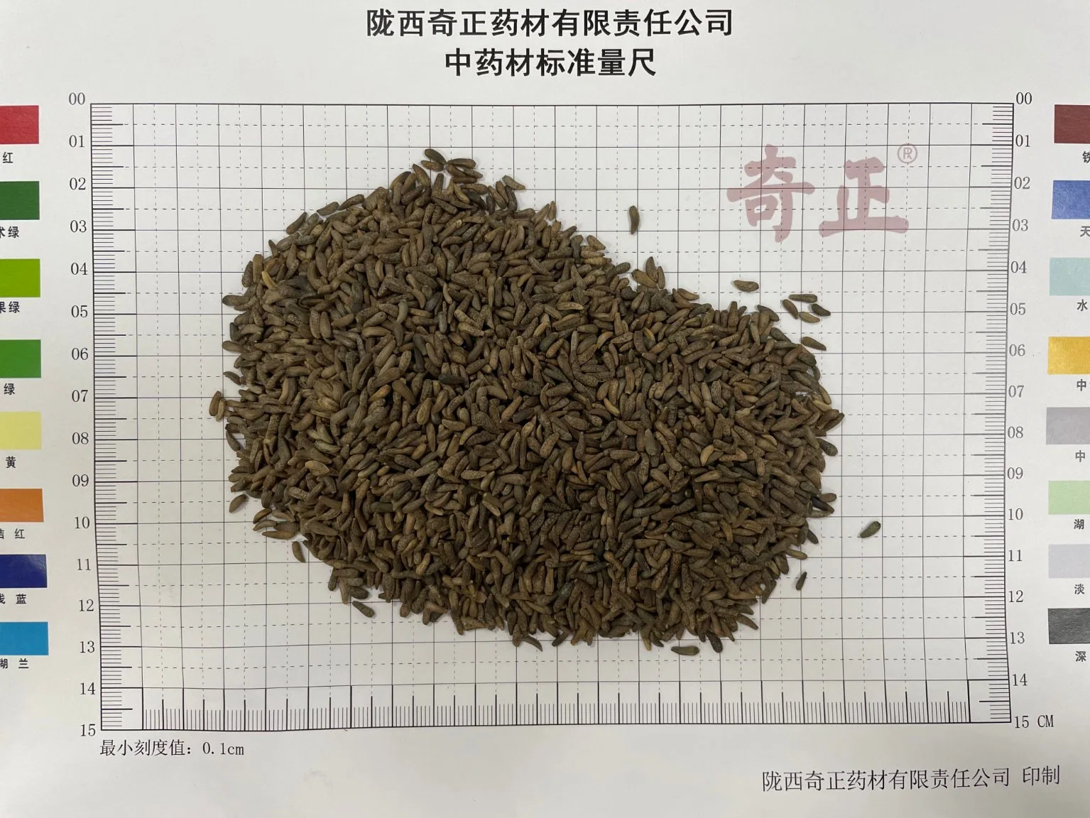 Chao Niu Bang Zi Arctll Fructus Chinese Traditional Herb Dired Fried