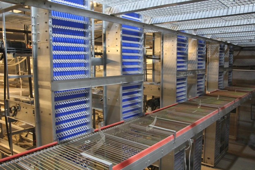 Aluminum-Zinc Coating Automatic Battery Cage System