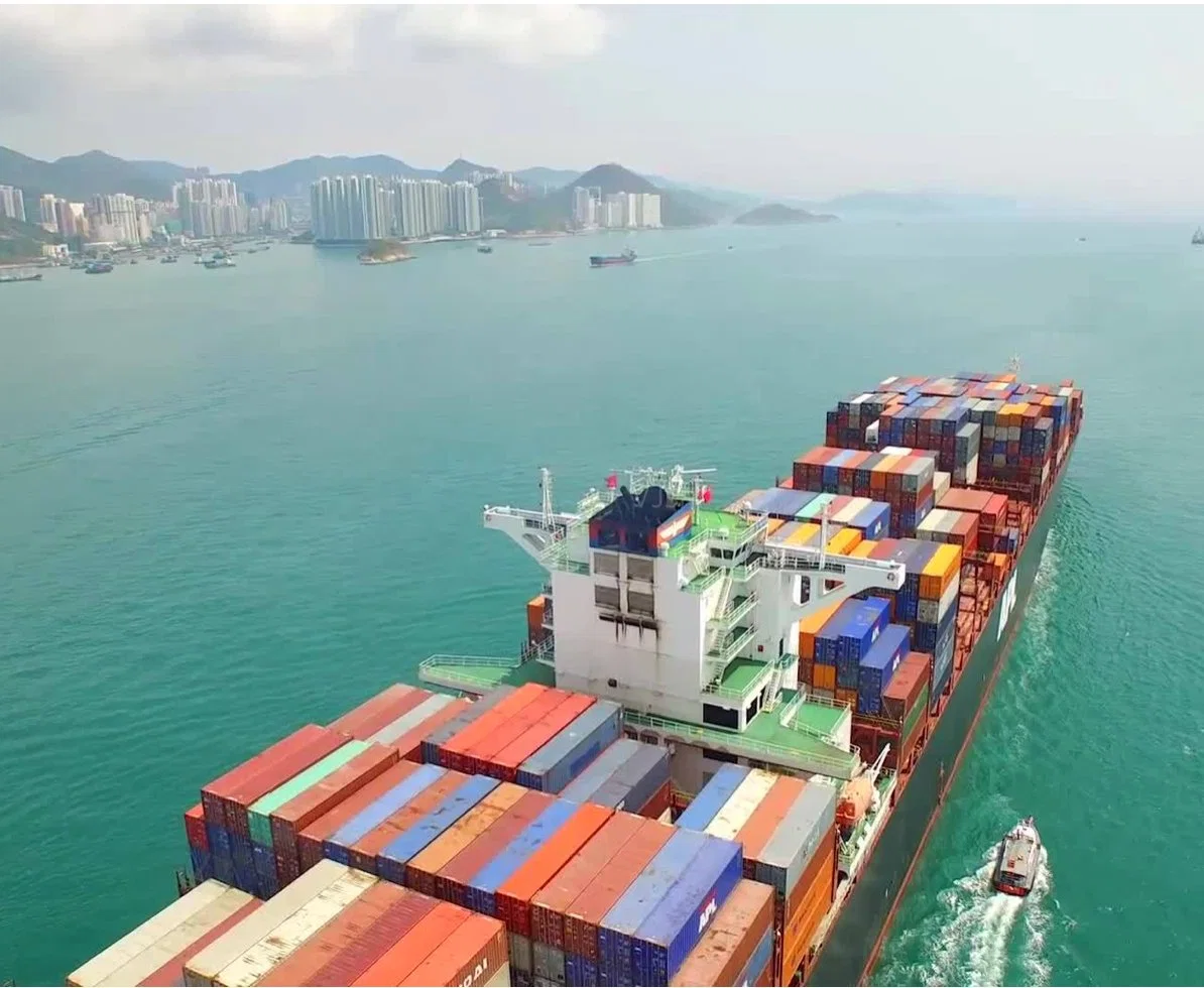 Dedicated Long Term Cooperaton LCL Sea Shipping From China to Kenya