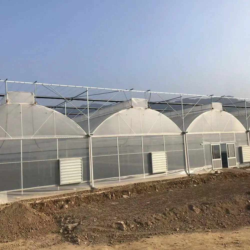 China Assembly Agricultural Po Film Greenhouse with Cooling Pad