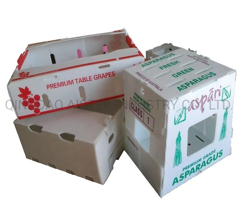 Coroplast Corrugated Plastic Asparagus Boxes for Packing