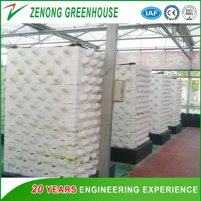 Agricultural/Commercial Glass Greenhouse for Hydroponics for Sale