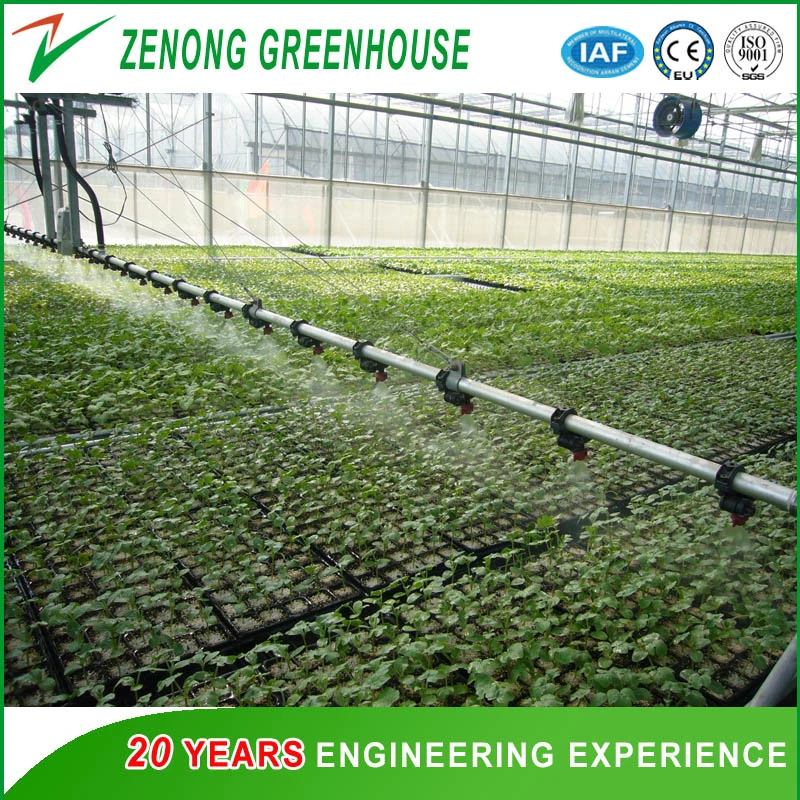 Gutter Connected PC Greenhouse with Automatic Ventilation/Cooling/Irrigation System for Seed Breeding