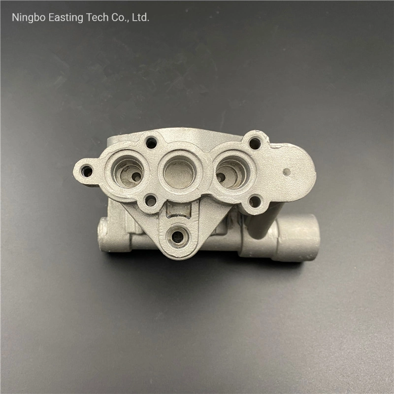 Customized Aluminum Die Casting Parts for Valve/Electric Motor Housing/Auto Spare/Motor/Pump/Engine/Motorcycle