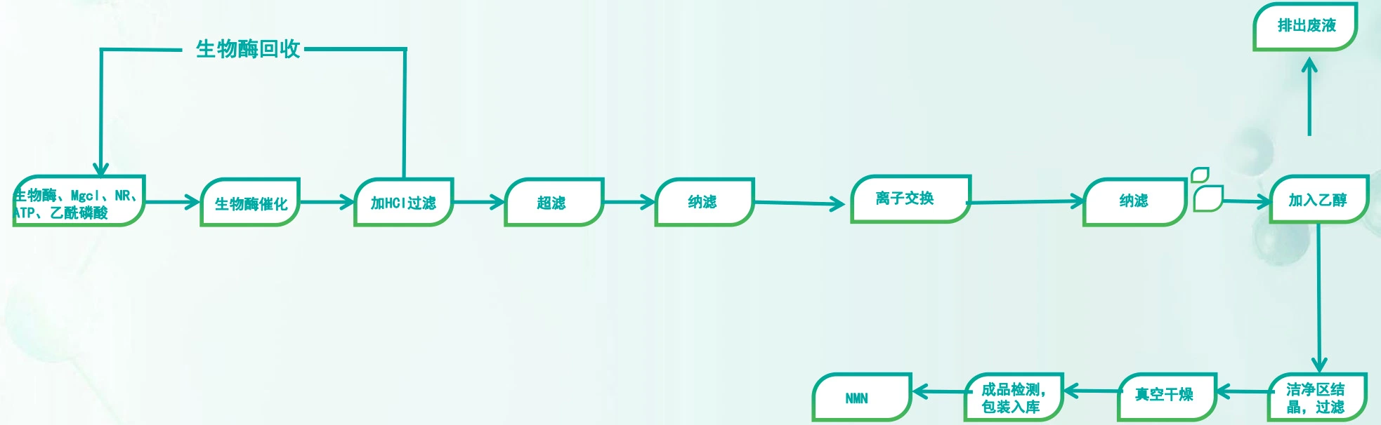 Nmn (β - Nicotinamide mononucléotide) Méthode d'extraction de l'enzyme naturel de la pureté ≥ 99 %