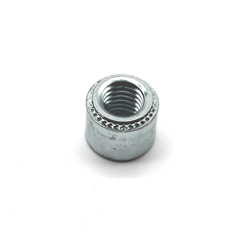 Stainless Steel Clinching Fasteners Rivet Nuts Supplier