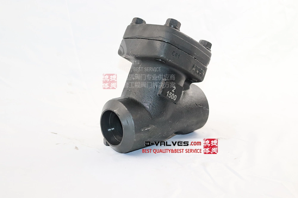 2inch 4inch High Pressure 1500lb Welding Socket Welding NPT Forged Steel A105n Y-Type Filter