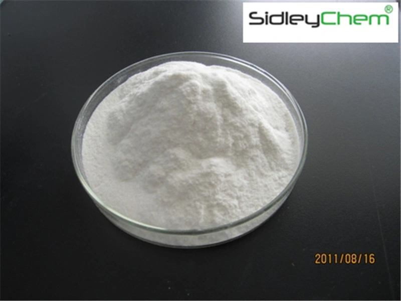 Supply Plastic PVC Coating Painting Use HPMC Hydroxypropyl Methyl Cellulose
