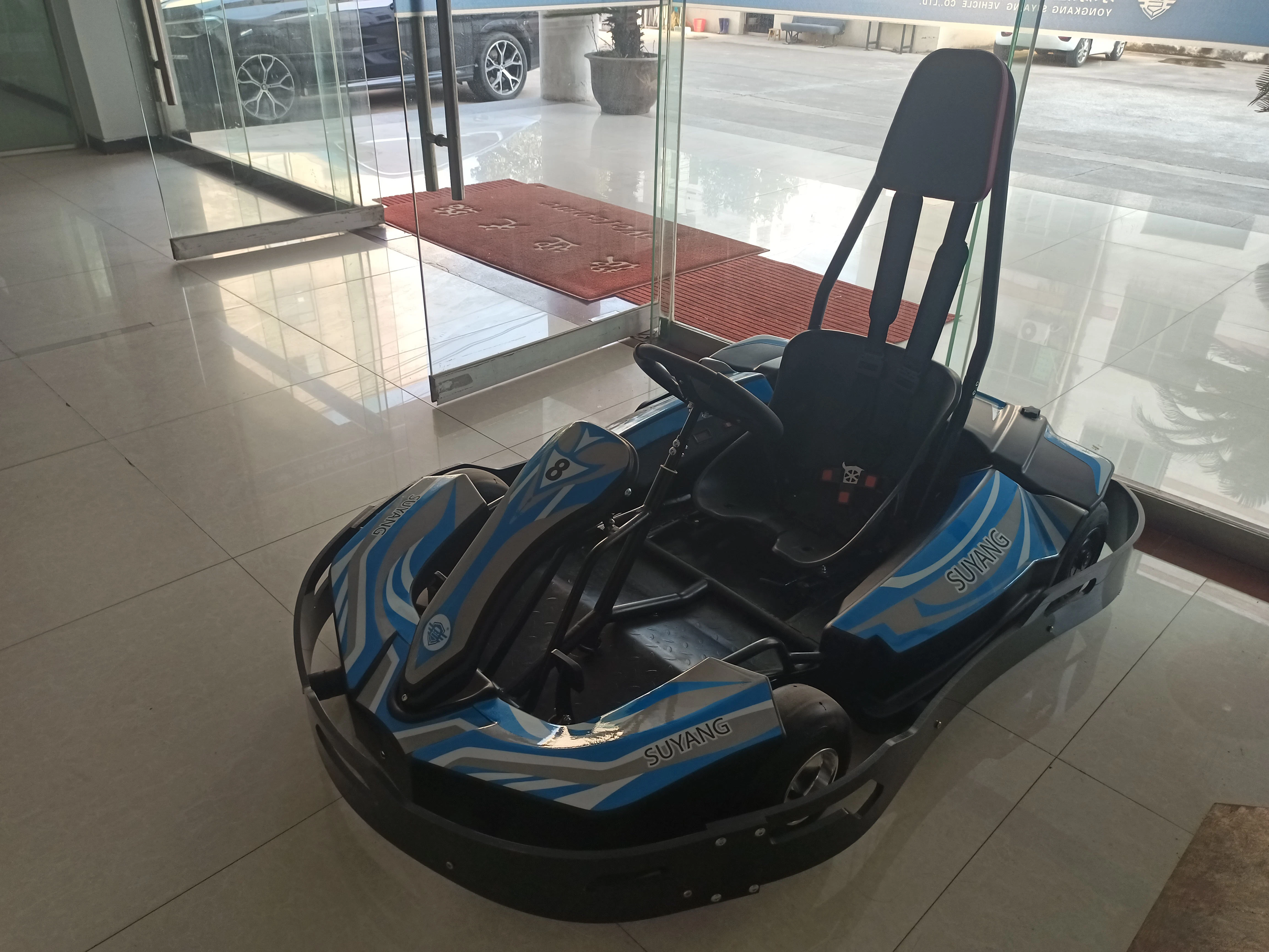 Batería de plomo ácido 48V22ah Mini Kart eléctrico pedal para adultos Vaya Kart