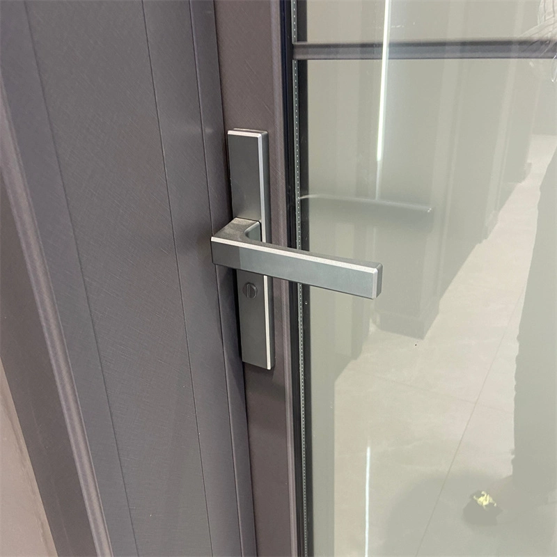 European Hinged Patio Door Frame Fire Rated Door Aluminum Double Swing Casemnet Door with Glass Hot Sale Aluminium Frame Door