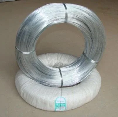 Hot/Electro DIP Galvanized Steel Wire Low Carbon Iron Wire for Mesh Chinese Manufacturer Best Price 0.5-5.0mm