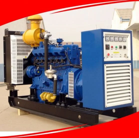 600kVA/660kw Gas Generator Pig Farm Manure Landfill Gas Biogas Farm Backup Power Generator