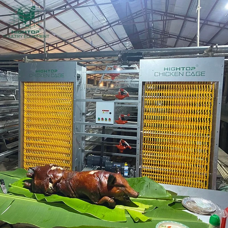 Hightop Verzinkt EIN Rahmen Egg Laying Batterie Schicht automatische Huhn Käfige Mit Fütterungssystem Auf Den Philippinen