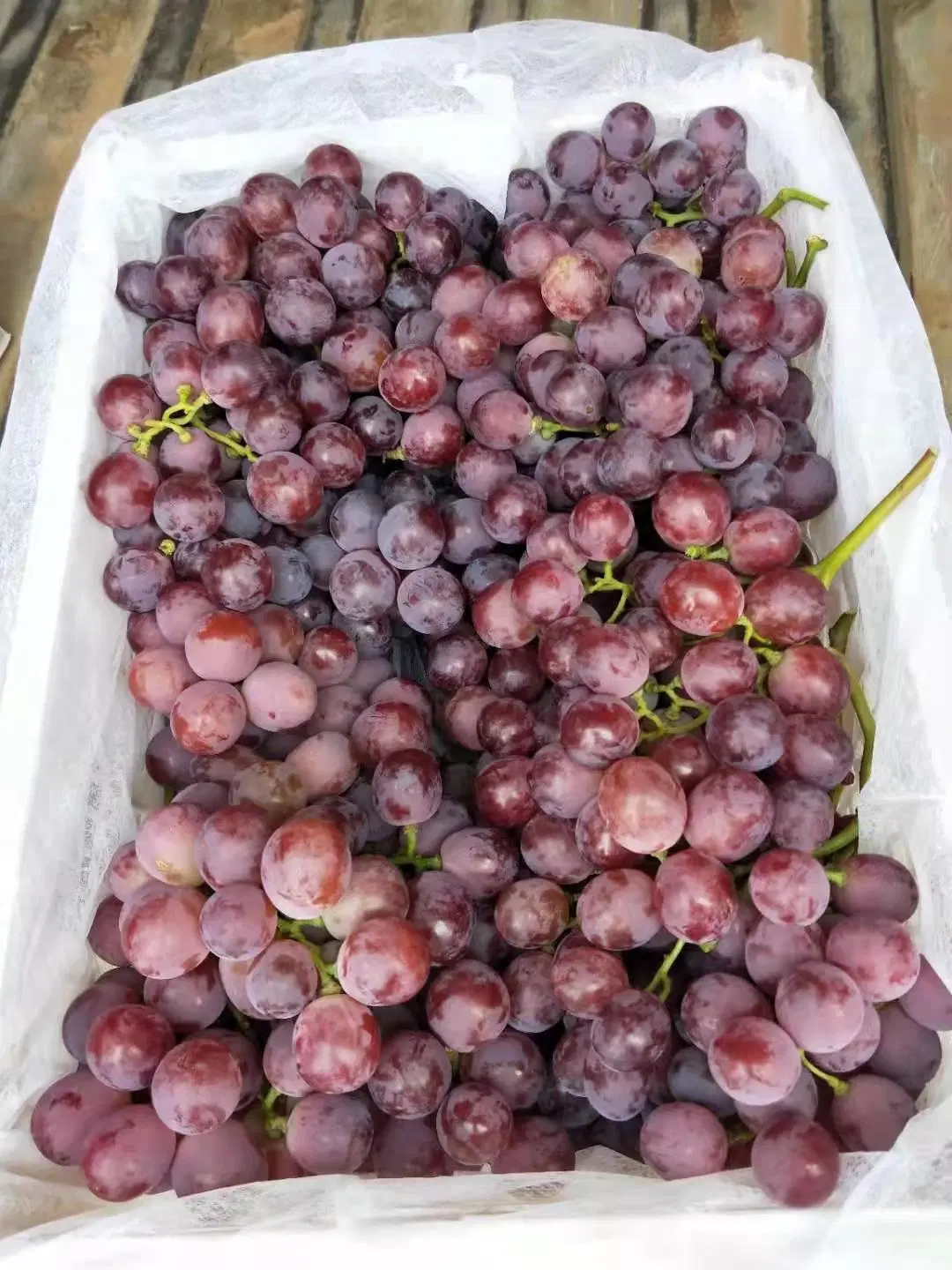 High quality/High cost performance  Red Grapes