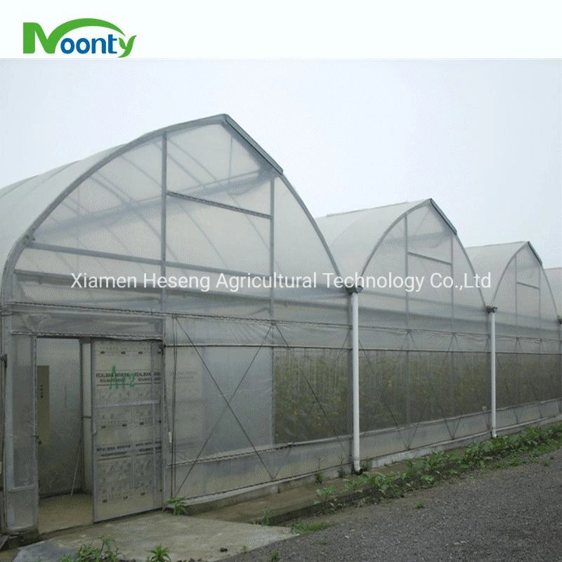 Best Single Tunnel/ Multi Spans Polyhouse Agricultural PE Film Greenhouse with Shading System/ Irrigation System/ Fertilization System