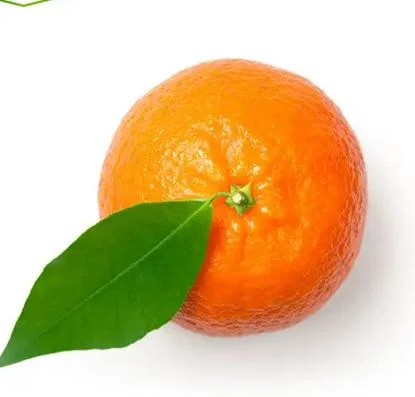 China Hot Selling 100% Natural Fresh Mandarin Orange