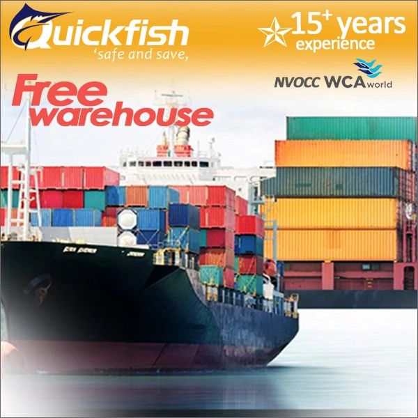 Международные быстрые морские перевозки небольшие грузовые суда от Из Китая в Мексику/США/Канаду/Австралию