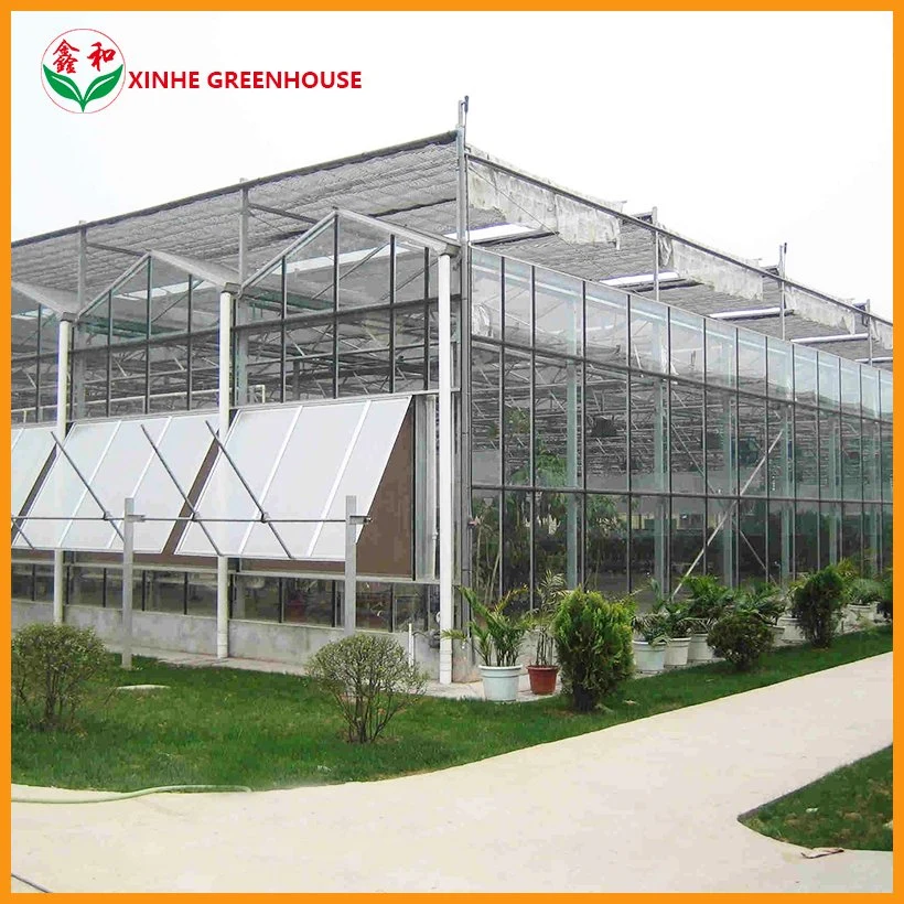 Agriculture Glass Greenhouse for Flower Planting