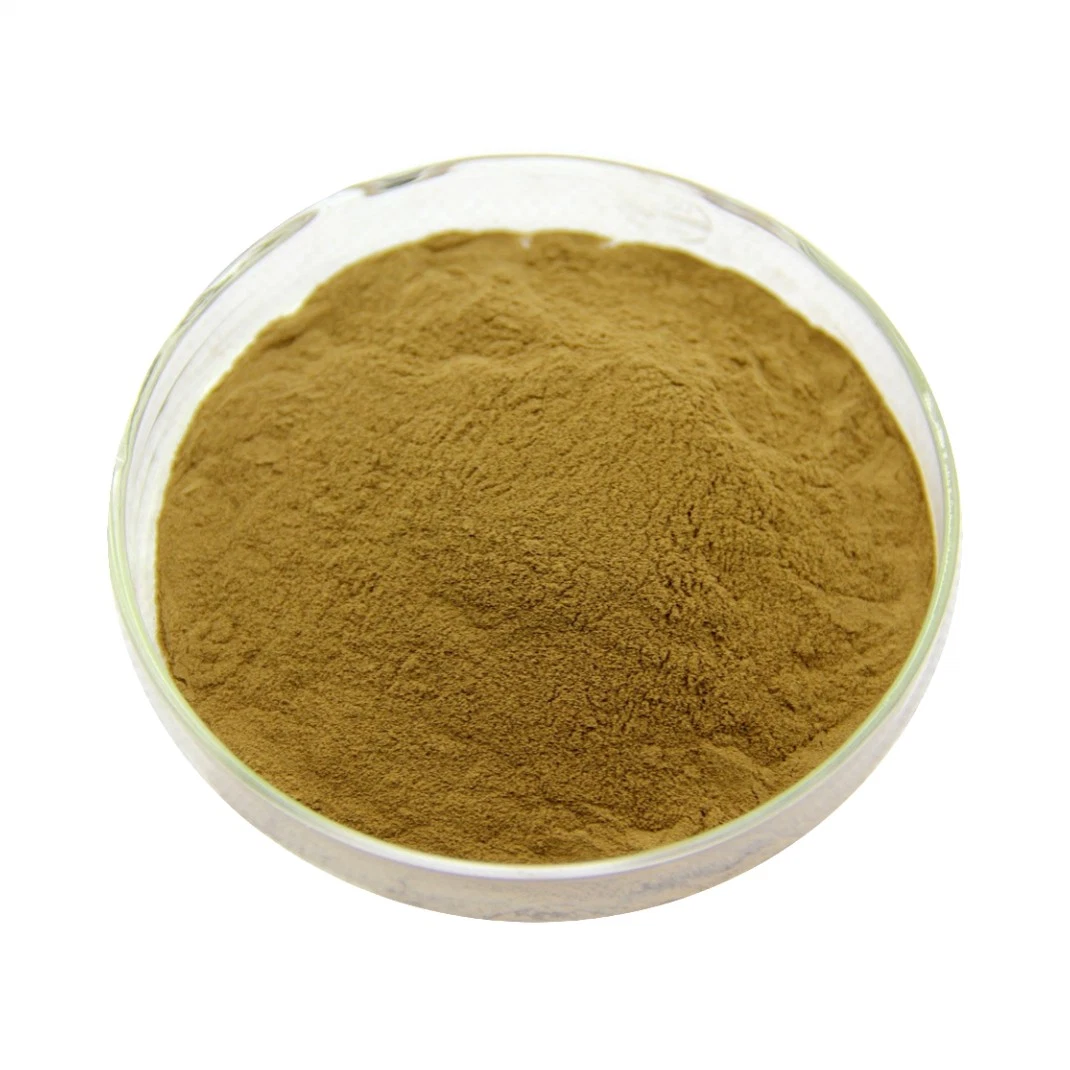 Herb Extract Health Protection Additives Protect Ppleen and Stomach Semen Euryales Powder