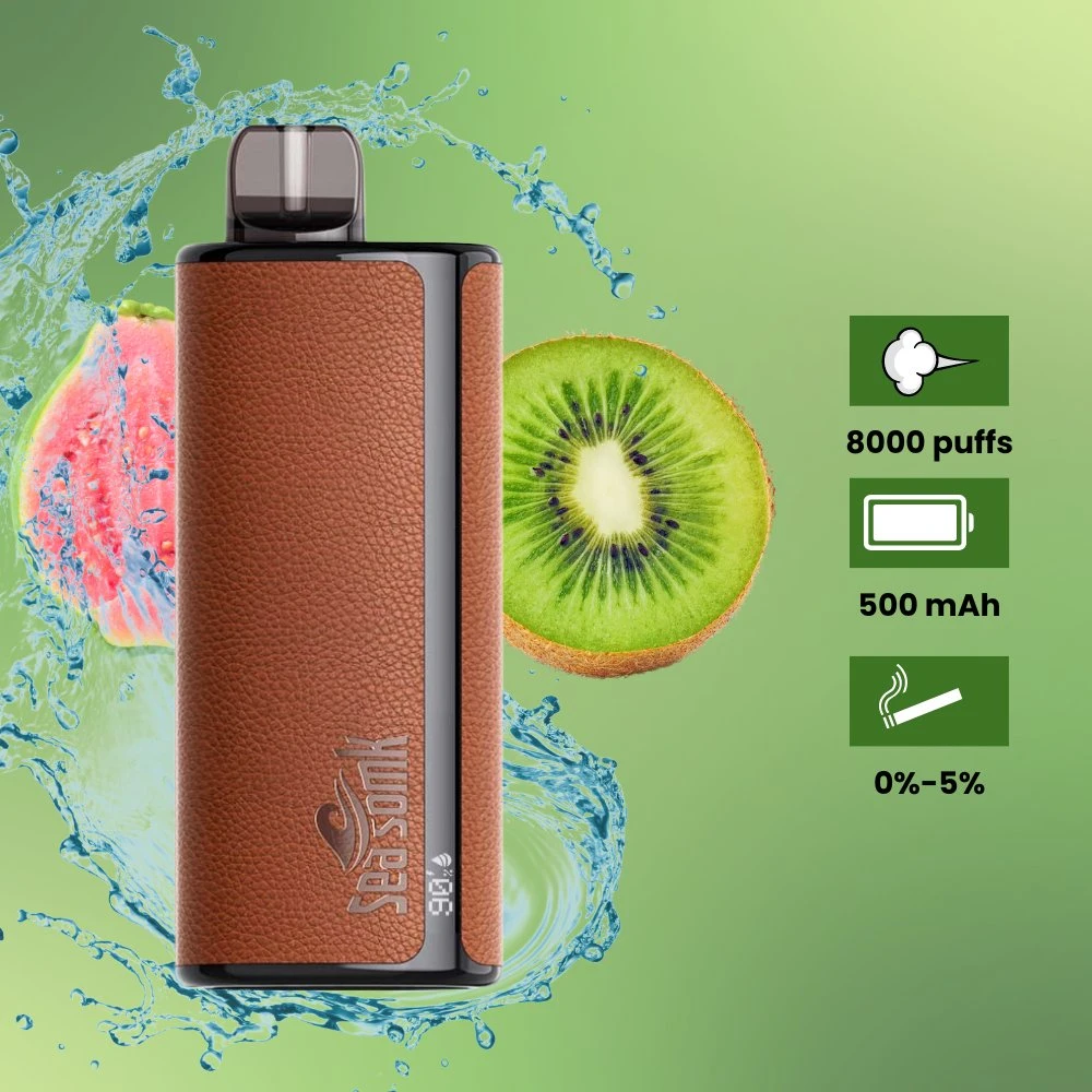 OEM Wholesale/Supplier E Cigarette Disposable/Chargeable Vape Pen 7000 Puffs Disposable/Chargeable Vaporizer Dual Mesh Coil Vape with Display Screen Factory