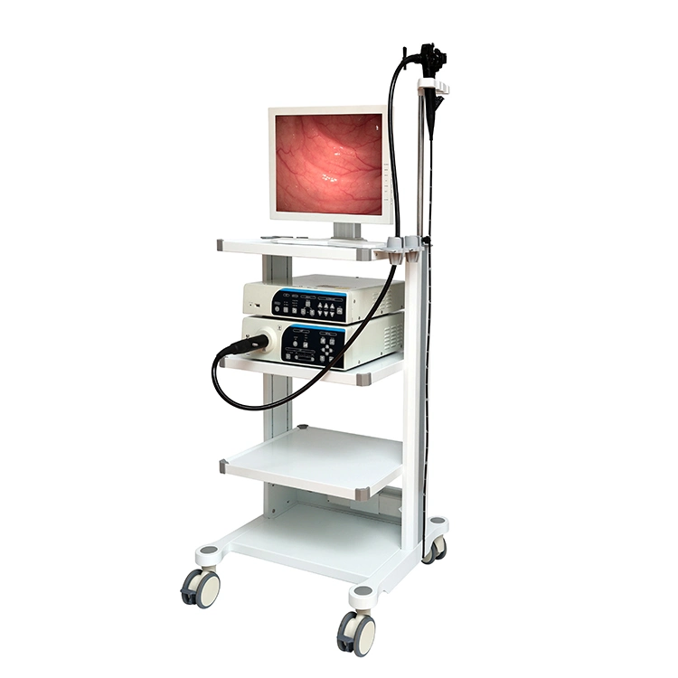 Instrumento médico Colonoscopo Gastroscópio Vídeo Endoscope System