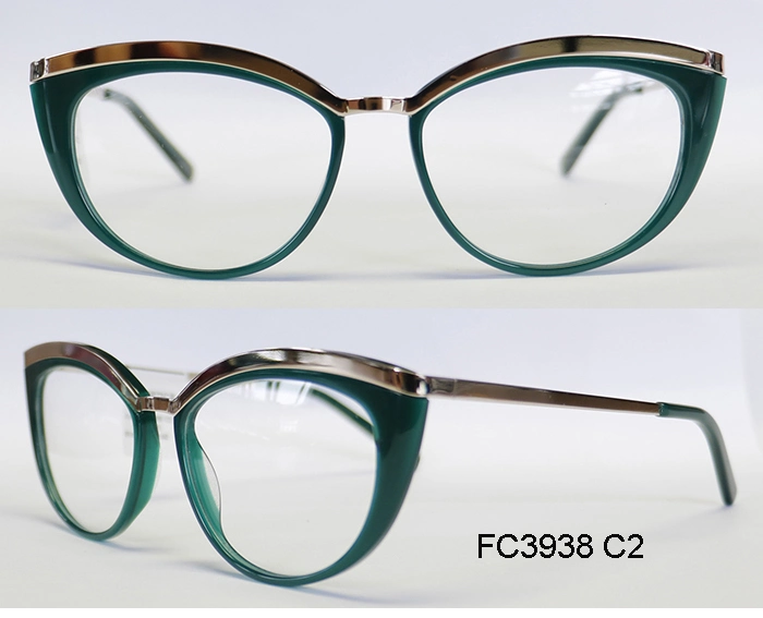 Acetate Frame for Lady with Metal Prescription Brand Glasses Optical Frames