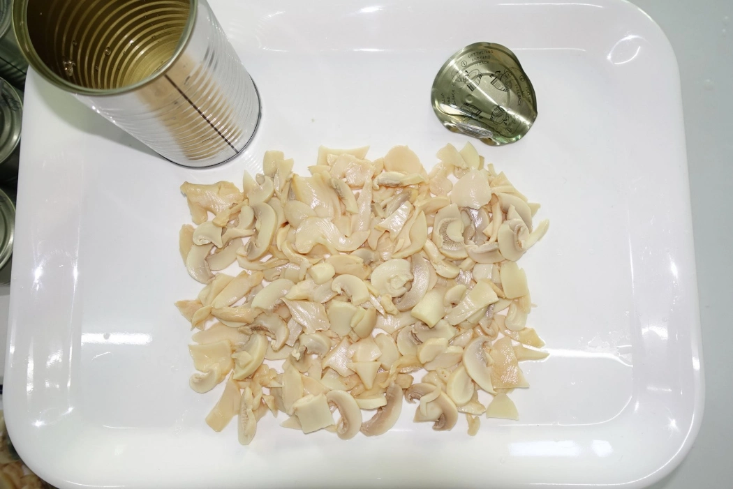 Chinese Wholesale/Supplier Easy Open Canned Oyster Mushroom Pieces & Stems in OEM
