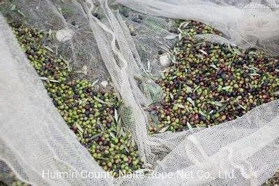 Olive Collect Netting for Harvest