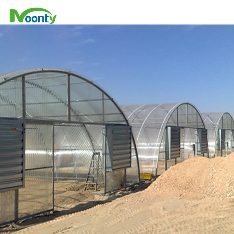 Simple Gothic Tunnel Film Greenhouse Hydroponics for Sale