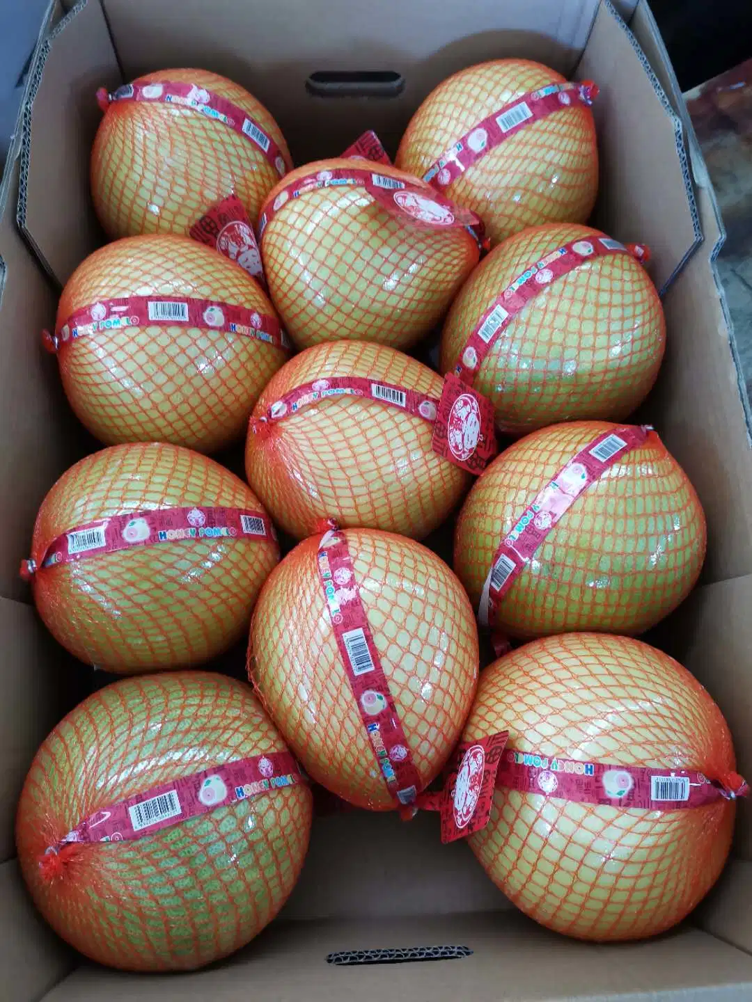 Wholesale/Supplier Chinese Sweet Honey Pomelo Natural White