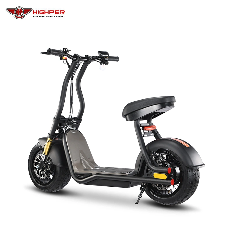 Adulto Fat Tire Electric 2-Wheel Electric Scooters off Road 800W 48V