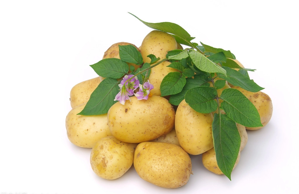 High Technology Dehydrated Vegetable and Foods of Dried Potato