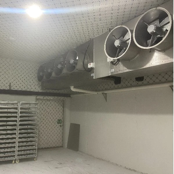 Pré-fabricados comerciais de armazenamento a frio congelado em Deep Blast refrigeração a baixas temperaturas Equipamentos para a Sala Fria de alimentos