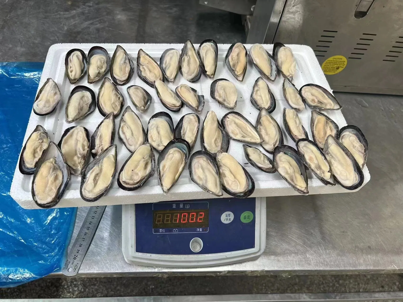 Frozen Seafood/Frozen Half-Shell Mussel/Cooked Mussel Meat