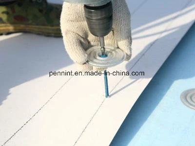 Tpo Waterproof Membrane Roofing Sheet with High quality/High cost performance 