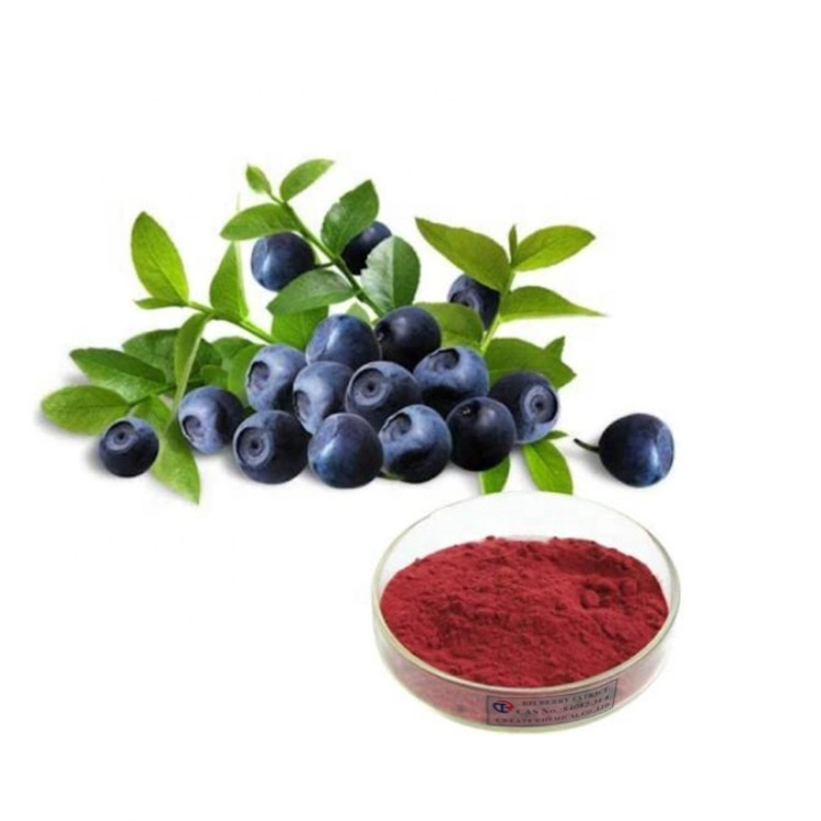 Natural Blueberry Extract 5%-30% Anthocyanidin Anthocyanin Powder