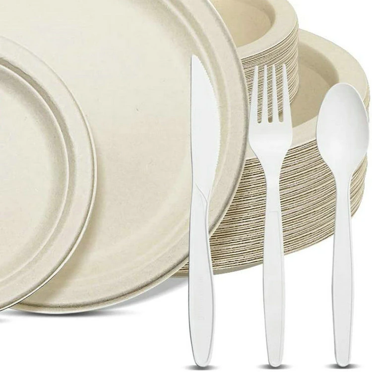 Natural Sugarcane Pulp Dinner Tableware Set Cutlery and Plate Set