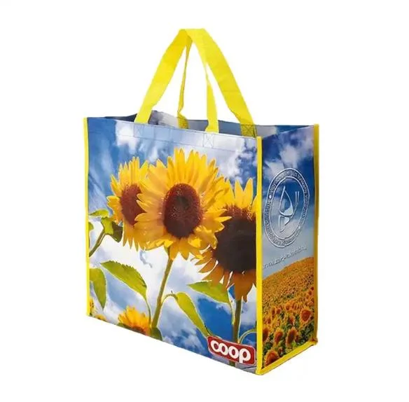 Unique Design Eco Cheap Price Printed Recyclable Shopping Bags Fold