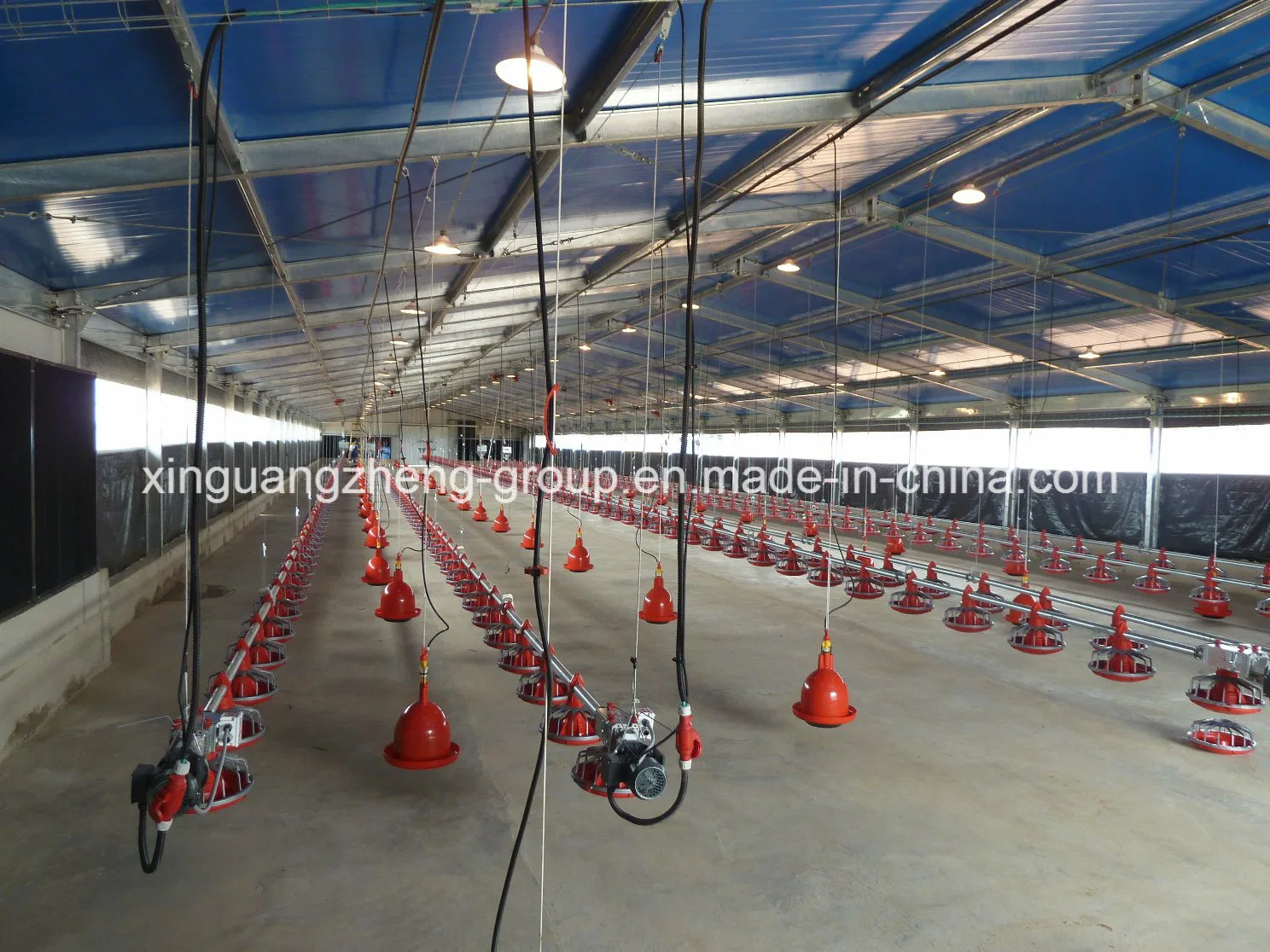 Chicken Auto Feeding System for Chicken Farm