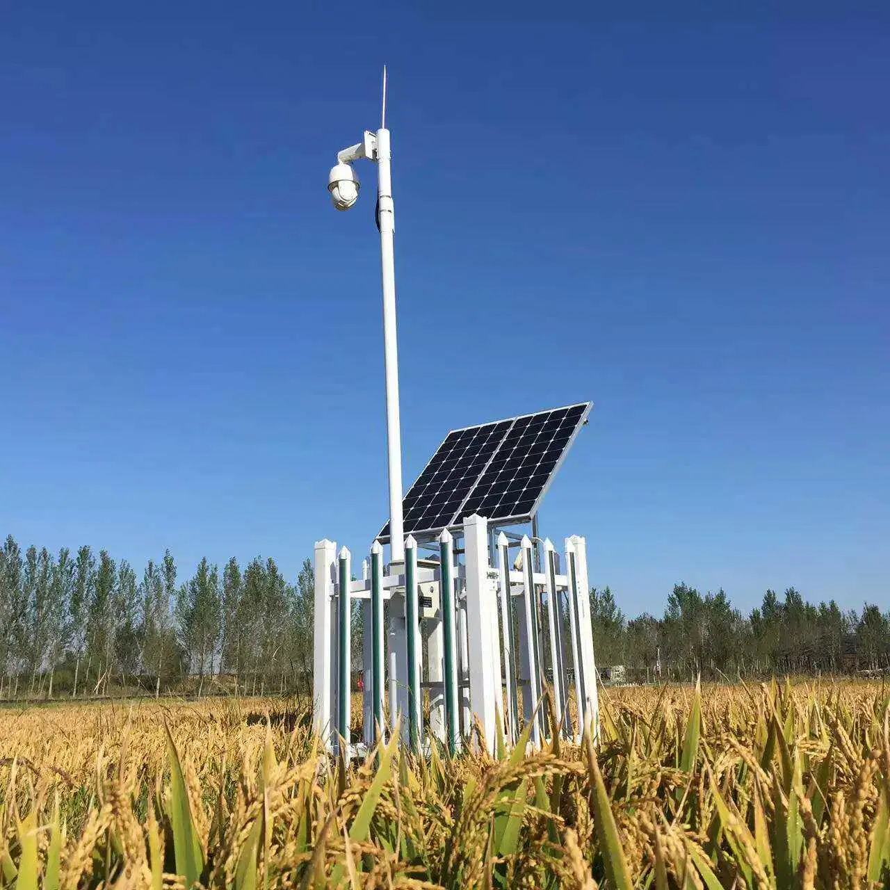 Landwirtschaft/Estacion Meteorologica/Gewächshaus/Solar PV/Mikroklima Wetter/Smart City WiFi Wilress GPRS Compact Automatic Wetterstation