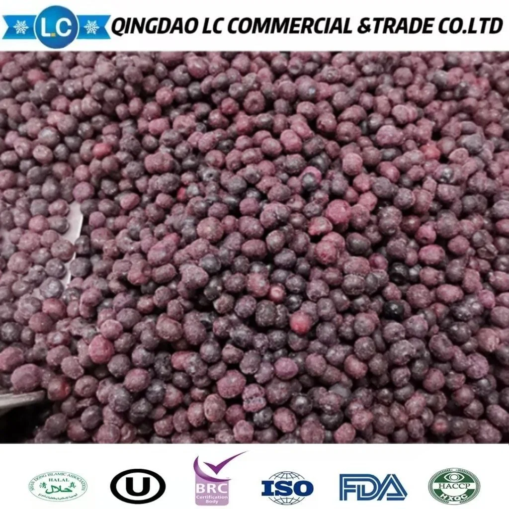 العلامات التجارية الصينية عالية الجودة زراعة الفواكه المجمّدة بلويوت مجمد IQF أسعار توت بري البري